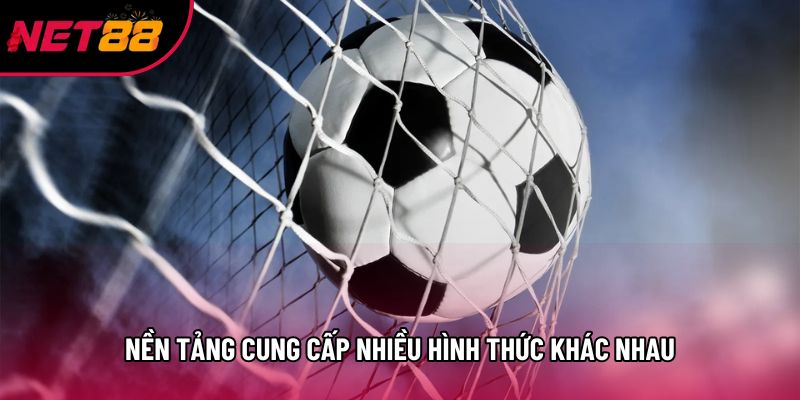 Nền tảng cung cấp nhiều hình thức khác nhau Nền tảng cung cấp nhiều hình thức khác nhau